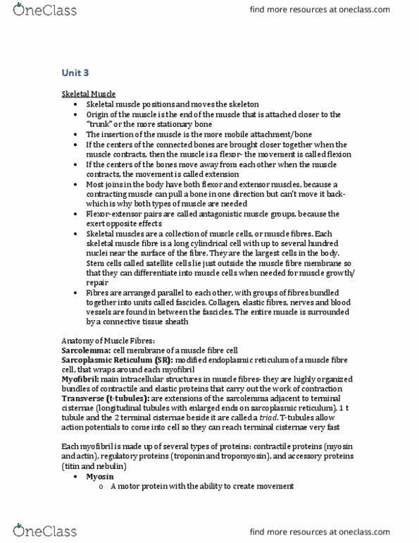 BIOL273 Chapter Notes - Chapter 3: Endoplasmic Reticulum, Myocyte, Skeletal Muscle thumbnail