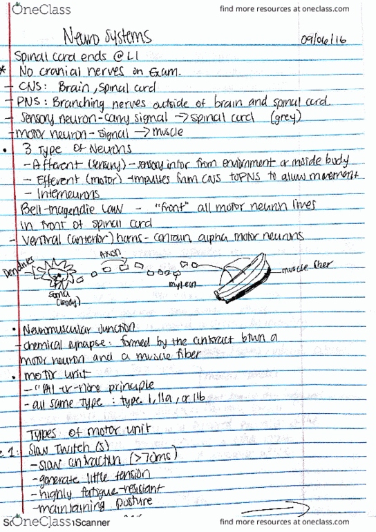 KIN 3309 Lecture 5: Neuro Systems thumbnail