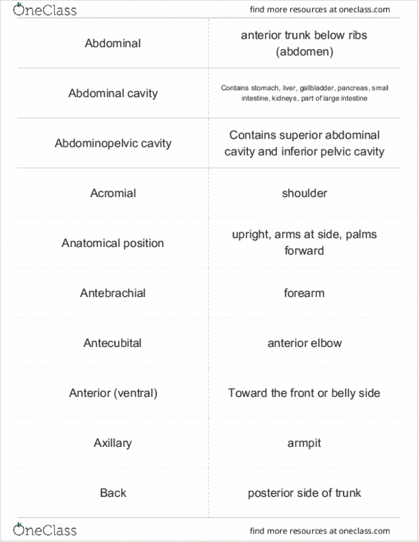 BIOL 255L Lecture Notes - Lecture 1: Abdominopelvic Cavity, Abdominal Cavity, Pelvic Cavity thumbnail