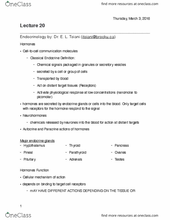 HLSC 1F90 Lecture Notes - Lecture 20: Autocrine Signalling, Hypothalamus, Testicle thumbnail