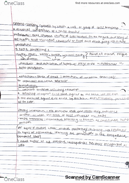 PSY-P 155 Lecture 6: Chemosensory thumbnail