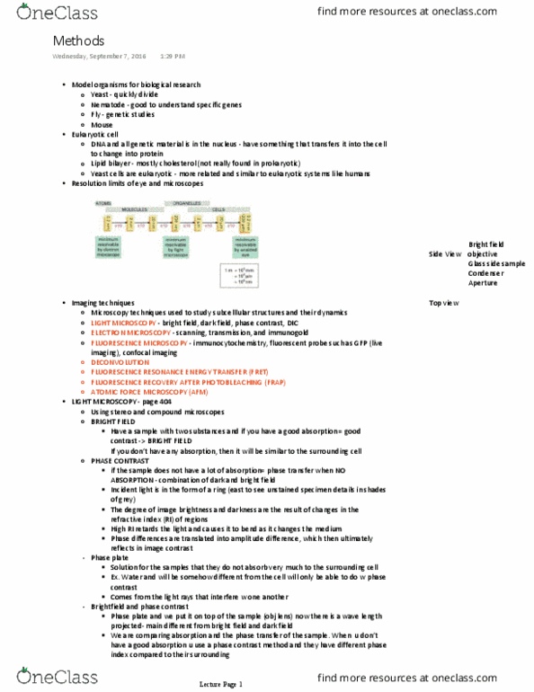 MOLBIOL 3B03 Lecture 1: Methods thumbnail