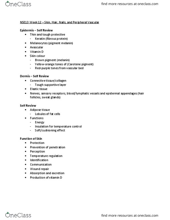 NSE 13A/B Lecture Notes - Lecture 12: Dehydration, Keloid, Peripheral Vascular System thumbnail