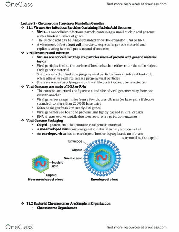 BIO SCI 97 Lecture Notes - Lecture 3: Dna Supercoil, Archaea, Cell Membrane thumbnail