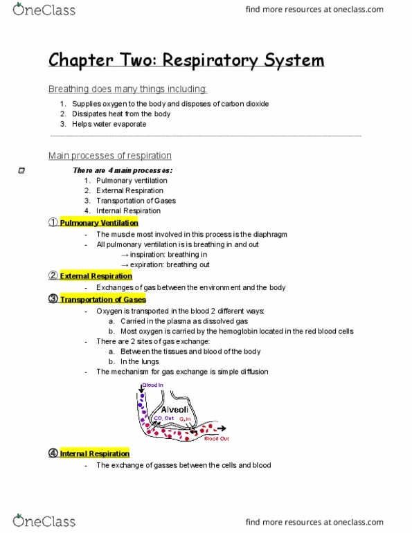 AN S 214 Lecture 5: Lecture_RespiratorySystem thumbnail