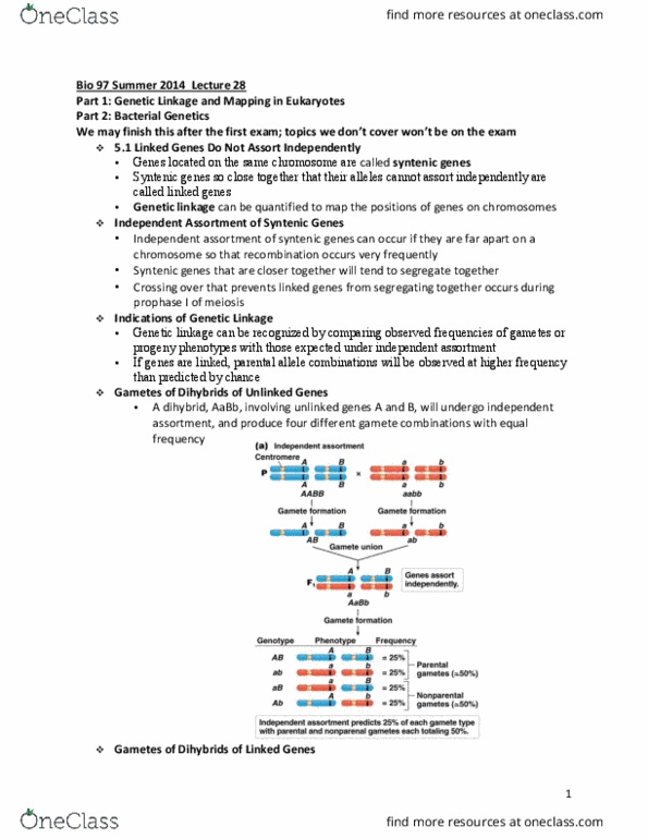 BIO SCI 97 Lecture Notes - Lecture 28: Synteny, Gamete, Meiosis thumbnail