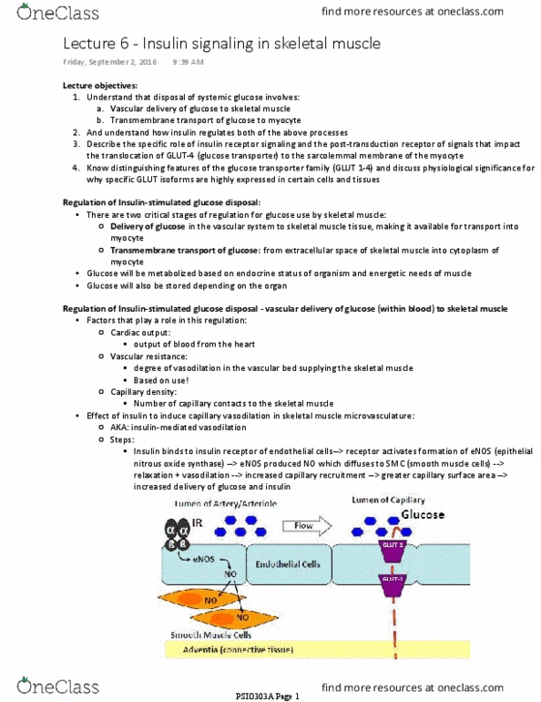 PSIO 303A Lecture Notes - Lecture 6: Glut5, Membrane Transport Protein, Grb2 thumbnail