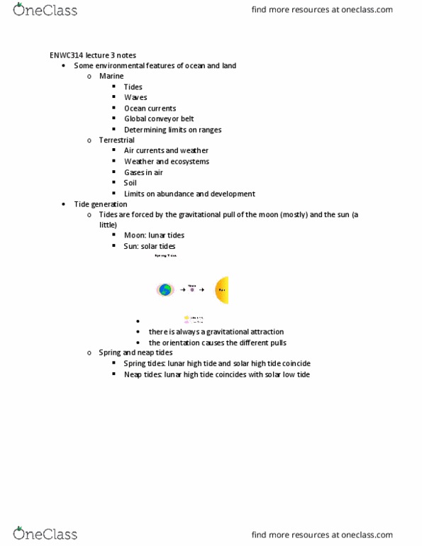 ENWC314 Lecture Notes - Lecture 3: European Corn Borer, Poikilotherm, Limiting Factor thumbnail