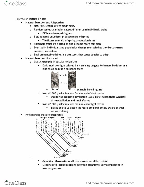 ENWC314 Lecture Notes - Lecture 4: Arthropod, Isopoda, Annelid thumbnail