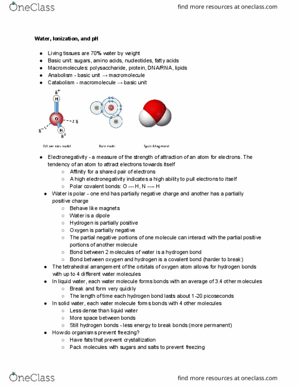 BIO 110 Lecture Notes - Lecture 2: Polysaccharide thumbnail