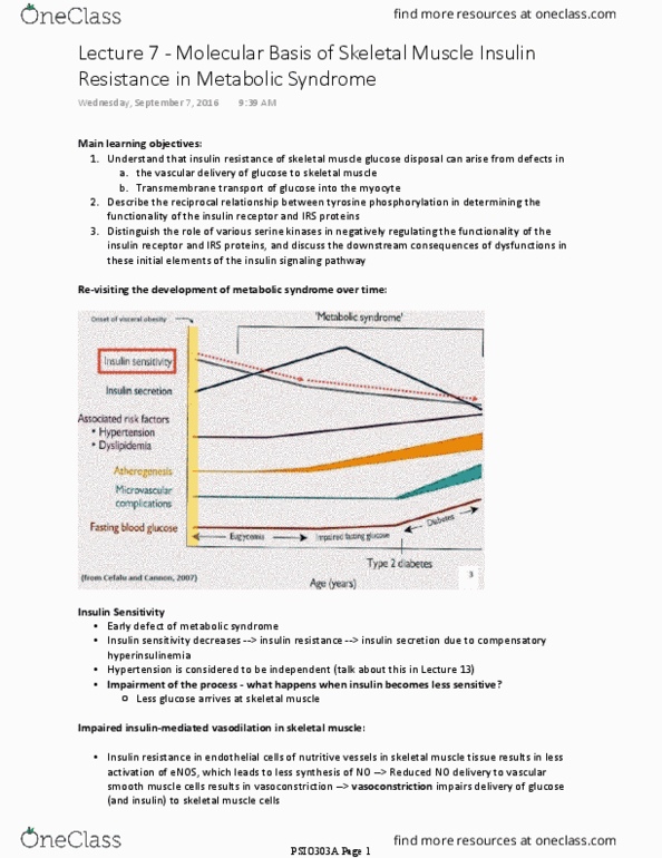 PSIO 303A Lecture Notes - Lecture 7: Gsk3B, Protein Isoform, Glycogen Synthase thumbnail