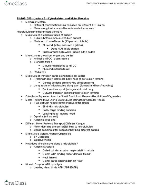 BIOMG 1350 Lecture Notes - Lecture 5: Skeletal Muscle, Myosin Head, Myosin thumbnail