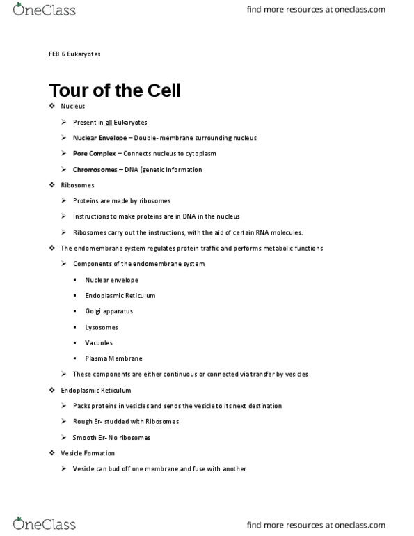 LIFE 102 Lecture Notes - Lecture 5: Mitochondrion, Glycosylation, Digestion thumbnail