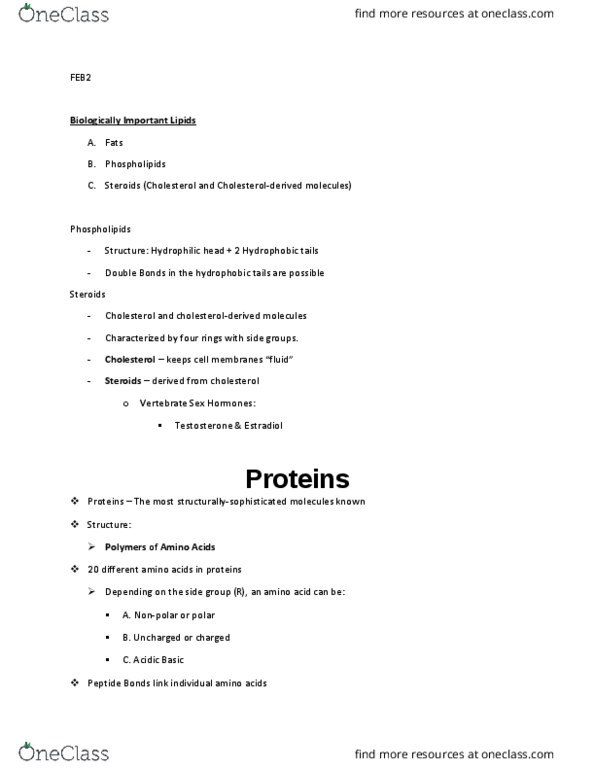 LIFE 102 Lecture Notes - Lecture 4: Guanine, Adenine, Cell Nucleus thumbnail