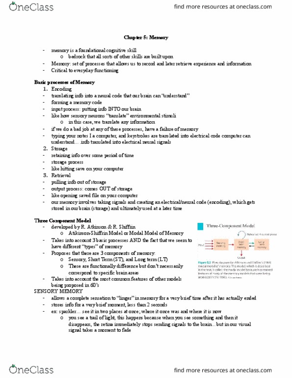 Psychology 2135A/B Chapter Notes - Chapter 5: Subvocalization, Parietal Lobe, Transcranial Magnetic Stimulation thumbnail