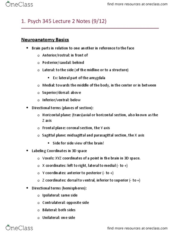 PSYCH 345 Lecture Notes - Lecture 2: Ependyma, Grey Matter, Cerebrospinal Fluid thumbnail