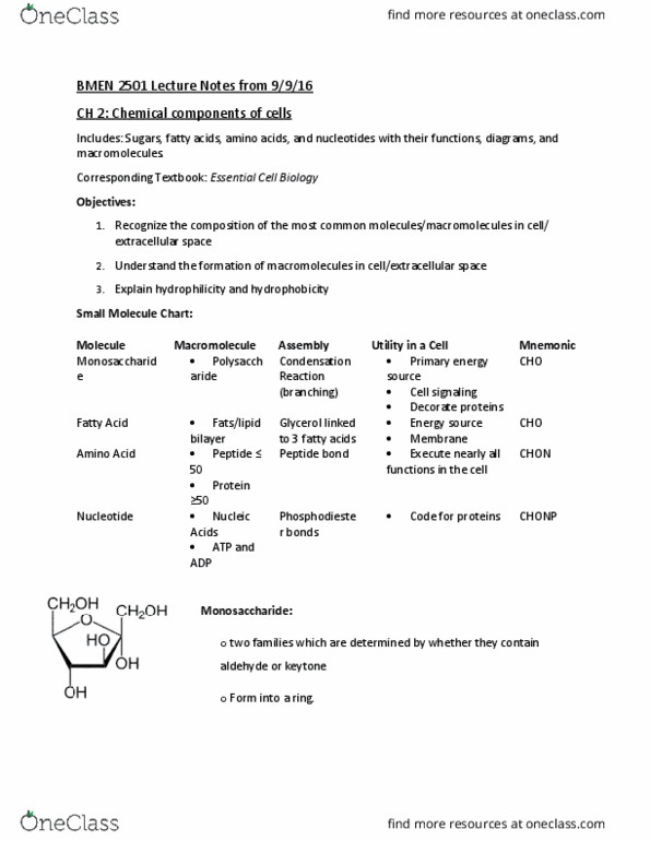 BMEN 2501 Lecture Notes - Lecture 2: Thymine, Adenine, Uracil thumbnail