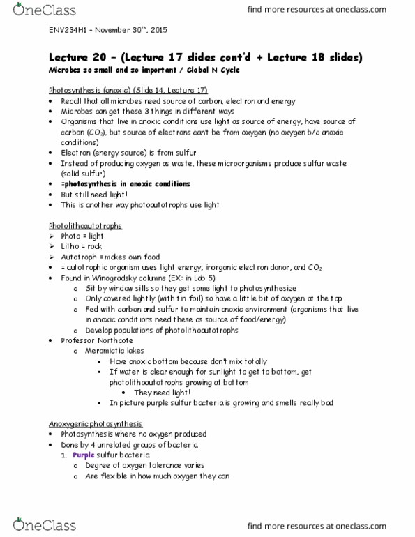 ENV234H1 Lecture Notes - Lecture 20: Nitrogen Cycle, Phytoplankton, Stoichiometry thumbnail