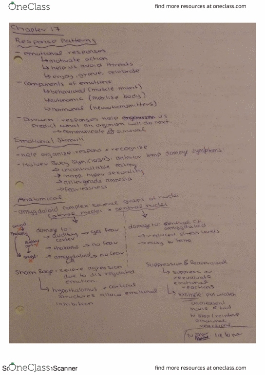 PSC 121 Chapter 17: UCM Psych 180: chapter 17 summary notes thumbnail