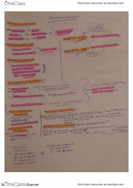 PSC 121 Chapter 9: UCM Psych 180: chapter 9 summary notes thumbnail