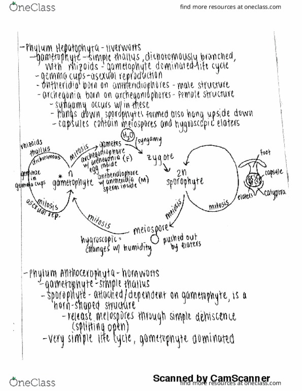 document preview image