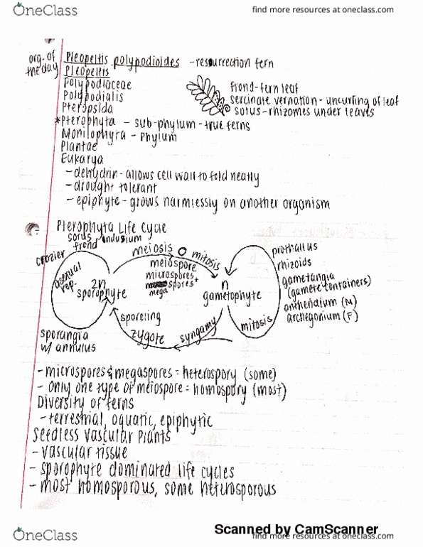 BIOL 1030 Lecture 10: bio lecture 10 thumbnail