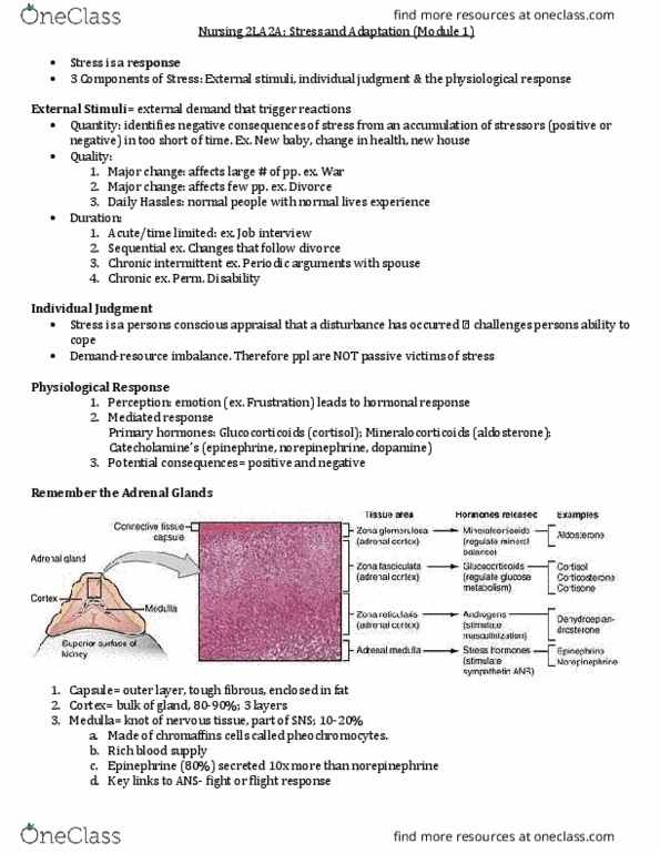 NURSING 2LA2 Lecture Notes - Lecture 1: Glycogenolysis, Hyperglycemia, Corticosteroid thumbnail