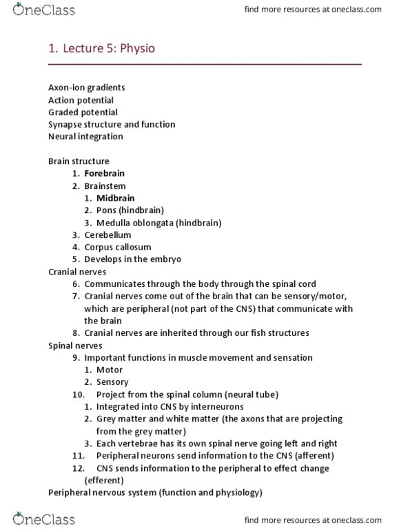 BIOL3030 Lecture Notes - Lecture 5: Myelin, Resting Potential, Depolarization thumbnail