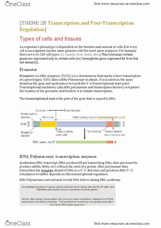 BIOL 243 Lecture Notes - Lecture 5: Spliceosome, Microrna, Chromatin thumbnail