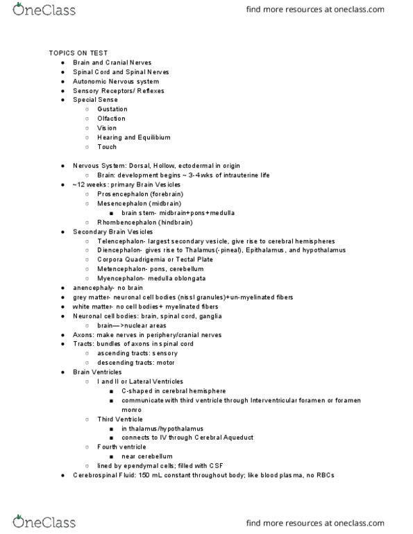 BIOL 1334 Lecture Notes - Lecture 18: Cerebro, Dura Mater, Hydrocephalus thumbnail