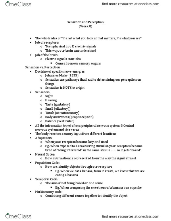 PSYC 100 Lecture Notes - Lecture 8: Gestalt Psychology, Railways Act 1921, Cochlea thumbnail