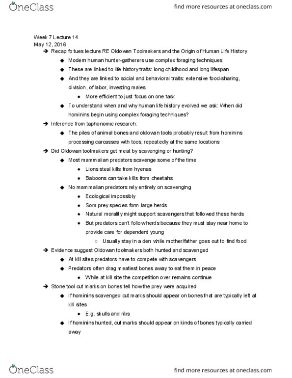 ANTHRO 7 Lecture Notes - Lecture 14: Homo Ergaster, Stone Tool, Oldowan thumbnail