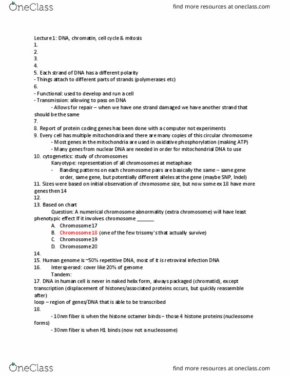 Biology 3592A Lecture Notes - Lecture 1: Nucleosome, Sister Chromatids, Prometaphase thumbnail