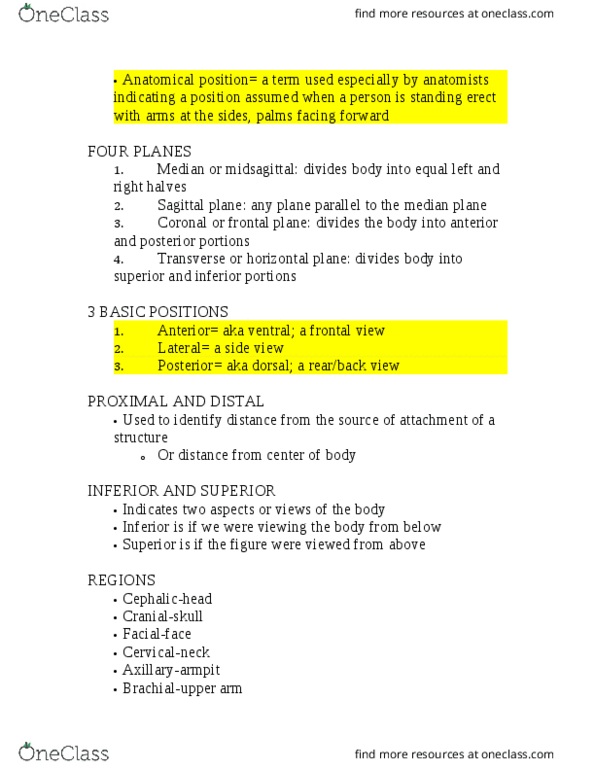 CLAS 230 Lecture Notes - Lecture 4: Plastid, Pinocytosis, The Fluid thumbnail