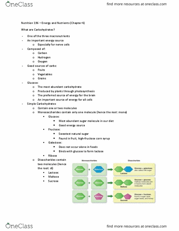 HN 196 Lecture Notes - Lecture 5: Psyllium, Ribose, Amylase thumbnail