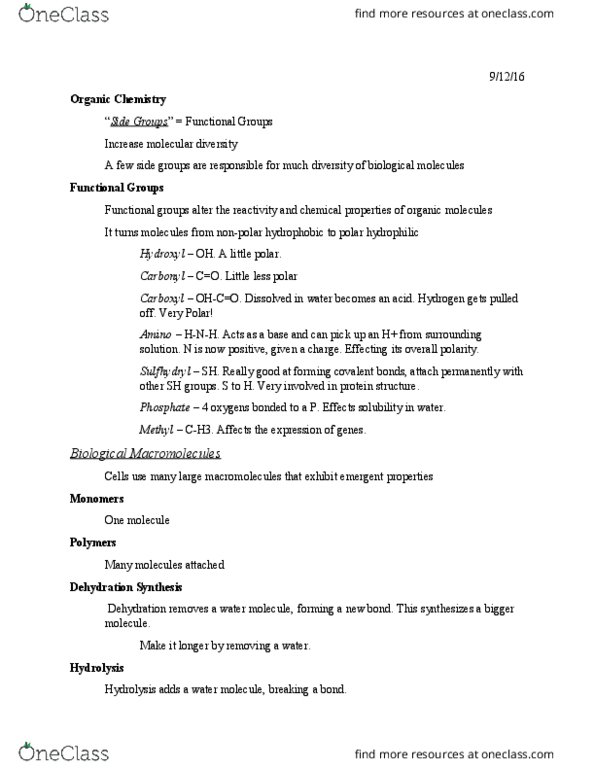 BSCI 105 Lecture Notes - Lecture 5: Emergence, Cell Nucleus, Protein Structure thumbnail