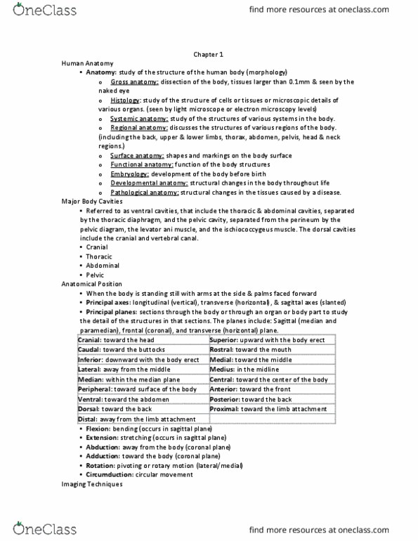 ZOO 3733C Lecture Notes - Lecture 10: Positron Emission Tomography, Coronal Plane, Appendicular Skeleton thumbnail