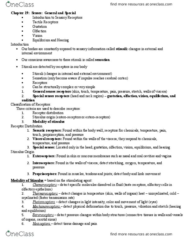 BIOL 205 Lecture Notes - Lecture 23: Macula Of Retina, Lacrimal Canaliculi, Tactile Corpuscle thumbnail