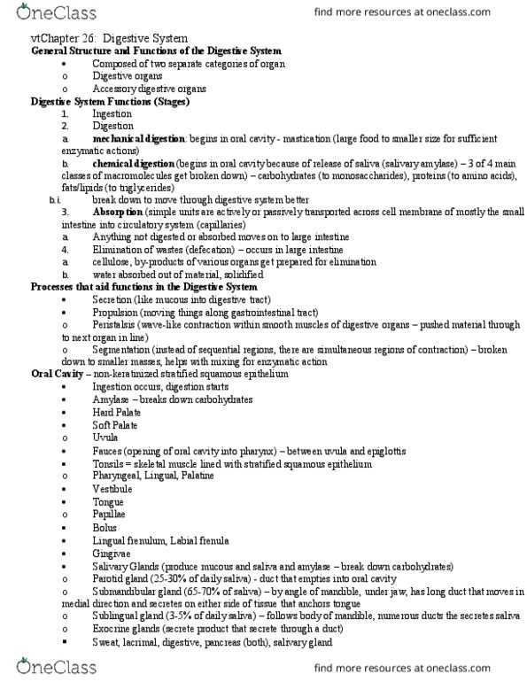 BIOL 205 Lecture Notes - Lecture 27: Stratified Squamous Epithelium, Tunica Externa, Peritoneum thumbnail