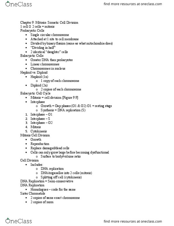 BIOL 101 Lecture Notes - Lecture 8: Sister Chromatids, Spindle Apparatus, Dna Replication thumbnail