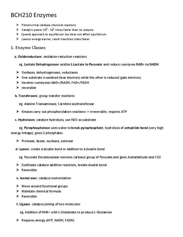 BCH210H1 Lecture Notes - Acetaldehyde Dehydrogenase, Pyruvate Dehydrogenase, Alcohol Dehydrogenase thumbnail