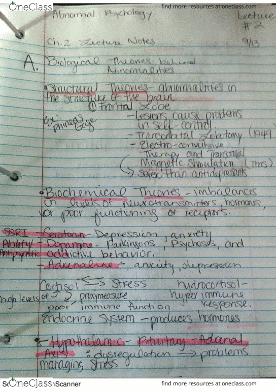 CLP-4143 Lecture 2: Theories behind abnormality thumbnail