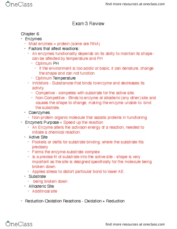 BIOL 1061 Lecture Notes - Lecture 3: Cellular Respiration, Lactic Acid, Citric Acid Cycle thumbnail