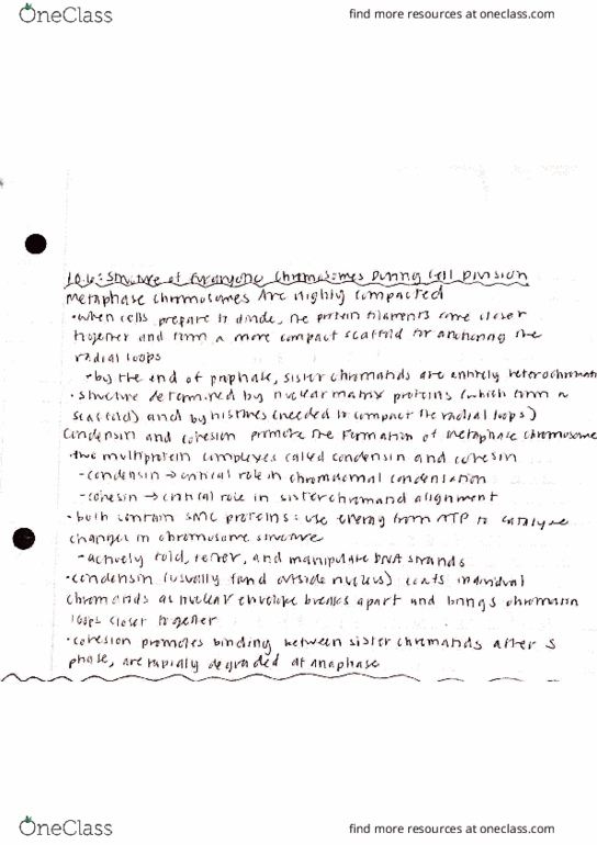 BIOC 3021 Lecture Notes - Lecture 16: Rokin, West Kilimanjaro Language, Strn thumbnail