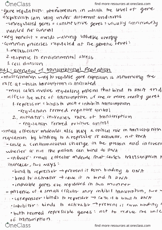 BIOC 3021 Lecture Notes - Lecture 19: Eaves, Phenylalanine, Rlogin thumbnail