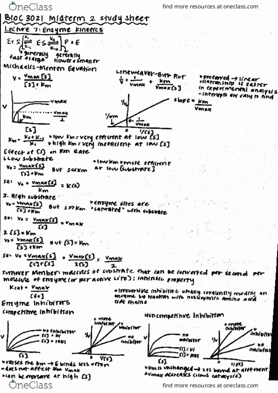 BIOL 4003 Lecture Notes - Lecture 24: Hne, Guanine thumbnail