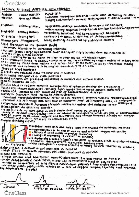 BIOL 4003 Lecture Notes - Lecture 25: Very Low-Density Lipoprotein, Ribose, Monosaccharide thumbnail