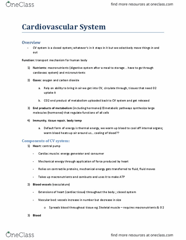 KINESIOL 1AA3 Lecture Notes - Lecture 1: Carbonic Anhydrase, Lymphatic System, Blood Vessel thumbnail