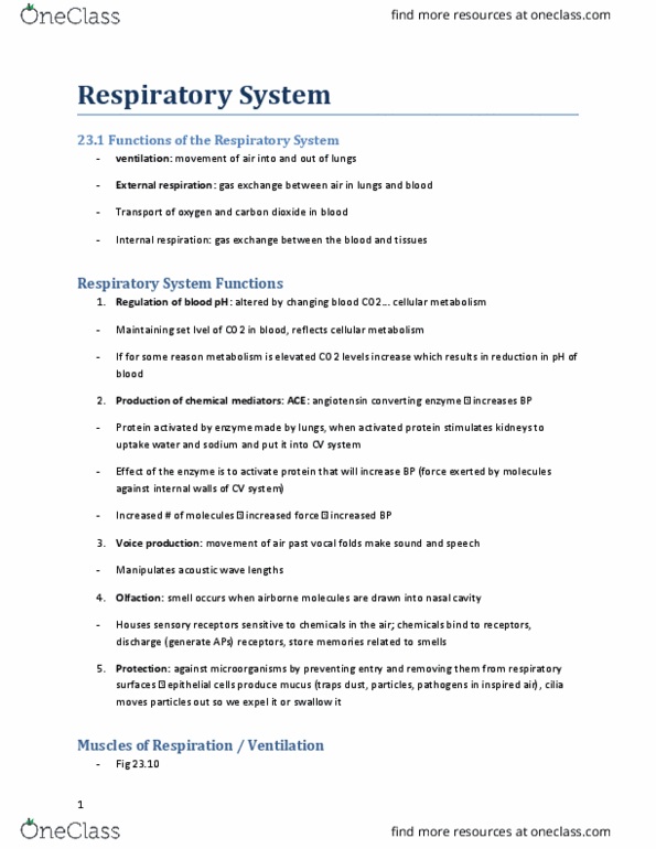 KINESIOL 1AA3 Lecture Notes - Lecture 10: Lung Volumes, Internal Intercostal Muscles, Pleural Cavity thumbnail