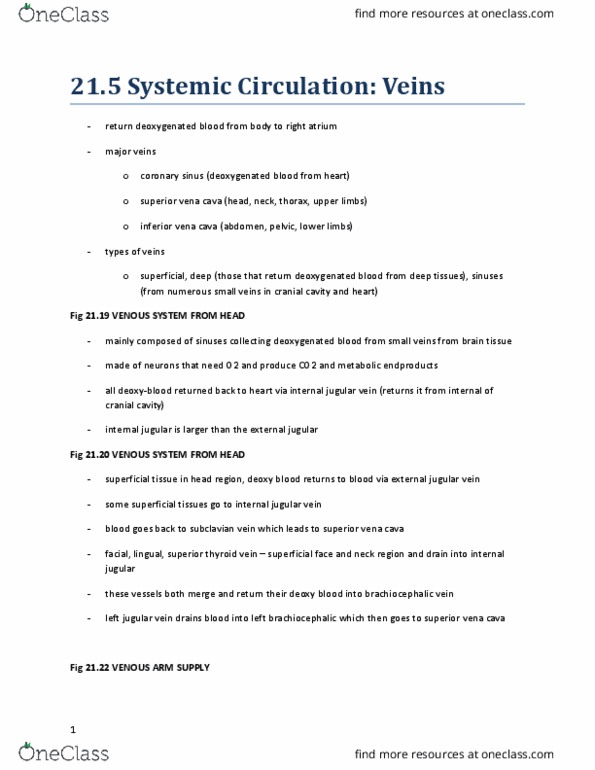 KINESIOL 1AA3 Lecture Notes - Lecture 6: Superior Vena Cava, External Jugular Vein, Median Cubital Vein thumbnail